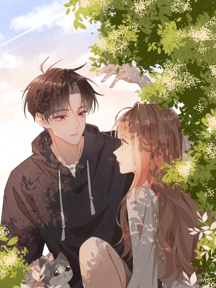 姐姐又又又翻车了漫画封面